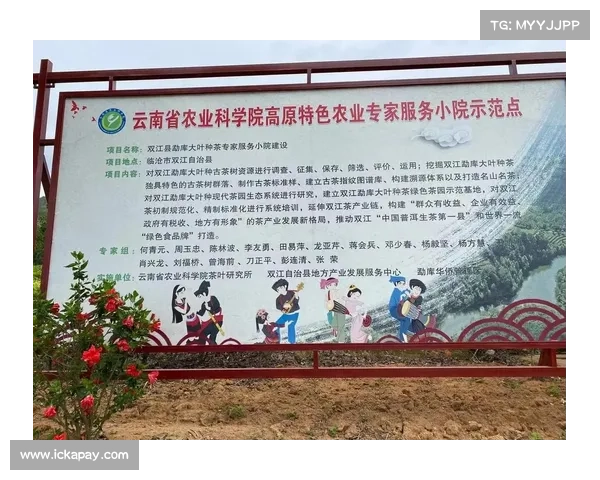 提升高原地区社会服务质量的路径探索与实践分析 提升高原地区社会服务质量的路径探索与实践分析