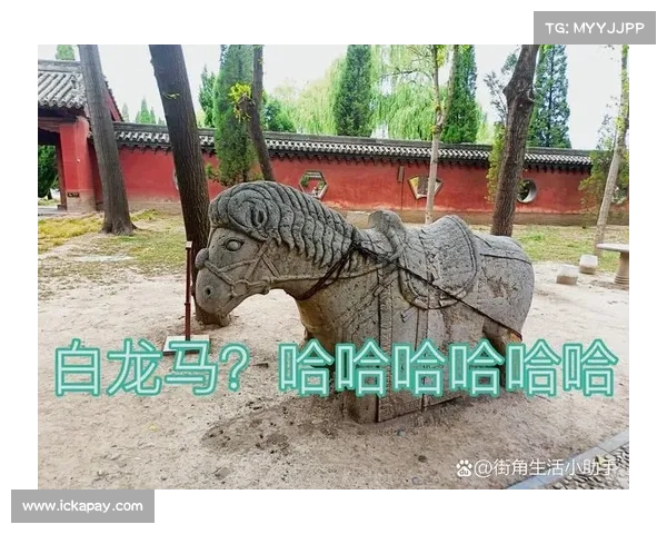 人鱼之心的秘密与深海传奇的真相揭示深海未解之谜与古老传说的背后玄机 人鱼之心的秘密与深海传奇的真相揭示深海未解之谜与古老传说的背后玄机